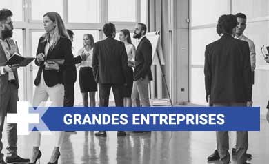 Grandes Entreprises