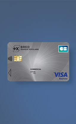 card-besoin-visa-business.jpg