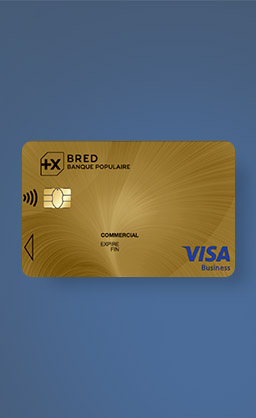 card-besoin-visa-gold-business.jpg