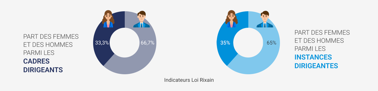 Loi Rixain