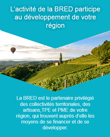L'activité de la BRED participe au développement de votre région. La BRED est le partenaire privilégié des collectivités térritoriales, des artisans, TPE, PME de votre région, qui trouve auprès d'elle les moyens de se financer et de se développer.