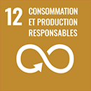 12 consommation et production responsables